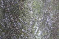 Stanton Chare fibreglass roof work